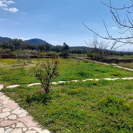 “Villa Othon-Leni” Paralia Demonias 外观 照片