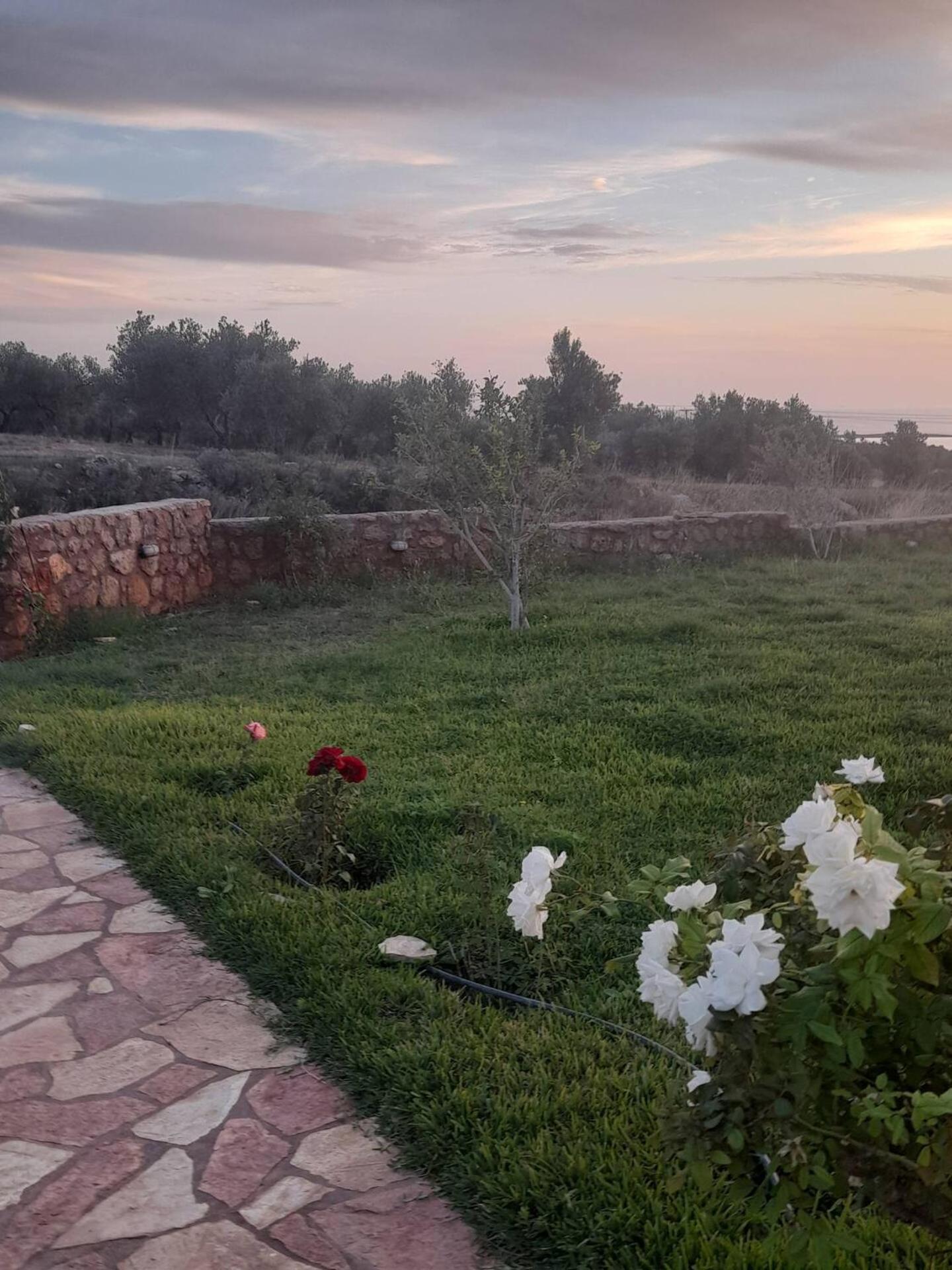 “Villa Othon-Leni” Paralia Demonias 外观 照片